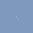 Silver Open Jump Ring - 5mm x 3mm - Pack of 10 