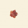 Carnelian Flower - 15mm 