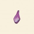 Purple Glass Lustre Leaf Beads - 15mm x 7mm - Pack of 10 