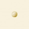 Plain Wood Polished Round Beads - 12mm - Pack of 10