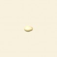 Plain Wood Polished Round Beads - 6mm x 4mm - Pack of 100