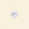 Shell Pendant - 12mm 