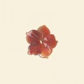 Carnelian Flower - 20mm 