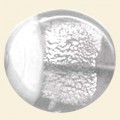 Crystal Two-Tone Glass Silver Foil Flat Disc Bead - 30mm 