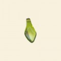 Lime Glass Lustre Leaf Beads - 15mm x 7mm - Pack of 10 