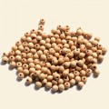 Plain Wood Round Beads - 5mm - Pack of 100 