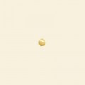 Plain Wood Polished Round Beads - 5mm - Pack of 10