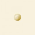 Plain Wood Polished Round Beads - 12mm - Pack of 10