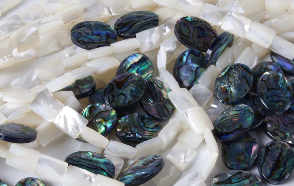 Shell Beads