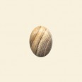 Picture Jasper Cabochon - 8mm x 6mm 