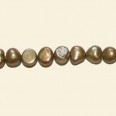 Antique Brown Colour Freshwater Pearls - 6mm to 7mm - 16" String