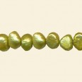 Lime Freshwater Pearls - 6mm to 7mm - 16" String 