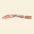 Bronze Shell Bead - 15mm x 5mm - String