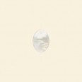 Shell Pendant - 14mm x 10mm 