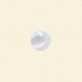 Shell Pendant - 12mm 