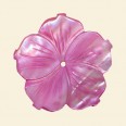 Dyed Shell Flower - 40mm 