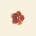 Carnelian Flower - 20mm 