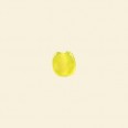 Yellow Matt Glass Flat Disc Bead - 6mm - Pack of 100 