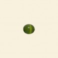 Lime Cats Eye Beads - 6mm - String