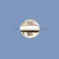 Thai Silver Bead (1mm Hole) - 10mm 