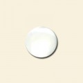 Mother of Pearl Flat Backed Cabochon - 10mm Round 