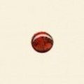 Brecciated Jasper Cabochon - 6mm 