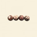 Leopard Skin Agate Beads - 6mm - Pack of 10