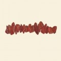 Carnelian Tumblechip Bead - 36" String