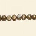 Antique Brown Colour Freshwater Pearls - 6mm to 7mm - 16" String