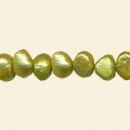 Lime Freshwater Pearls - 6mm to 7mm - 16" String 