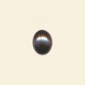 Natural Peacock Drops - Half Drilled - Pack of 10