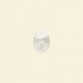 Shell Pendant - 14mm x 10mm 