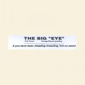 Big Eye Needle